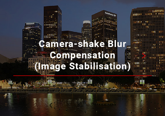 Camera-shake Blur Compensation