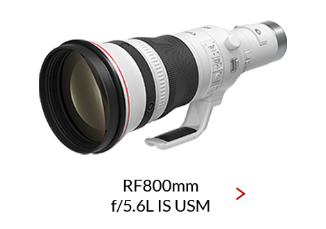 RF800mm-F5.6-L-IS-USM_470x330_rev3