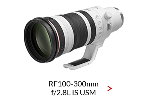 RF100-300mm-F2.8-L-IS-USM_470x330_rev3