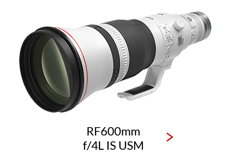 RF600mm-F4-L-IS-USM_470x330_rev3