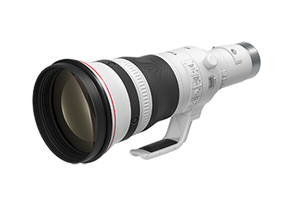 RF800mm f5.6L IS USM