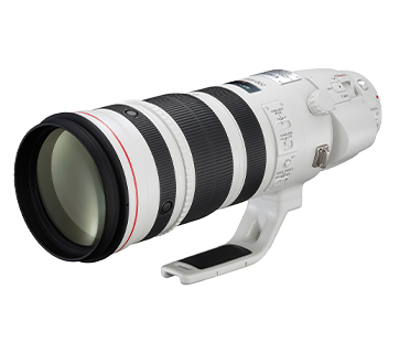 EF200-400mm f4L IS USM Extender 1.4x