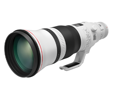 EF600mm f4L IS III USM_362