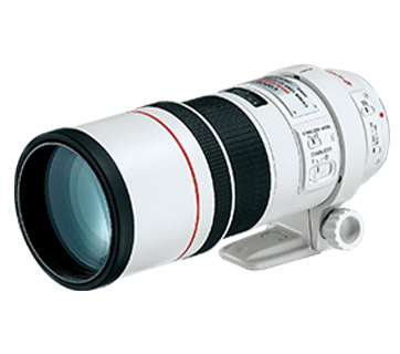 EF300mm f4L IS USM